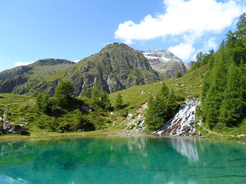 Le Panorama - Appartement 54 A Arolla Face Aux Montagnes A 150M Des Pistes Evolène Exteriör bild