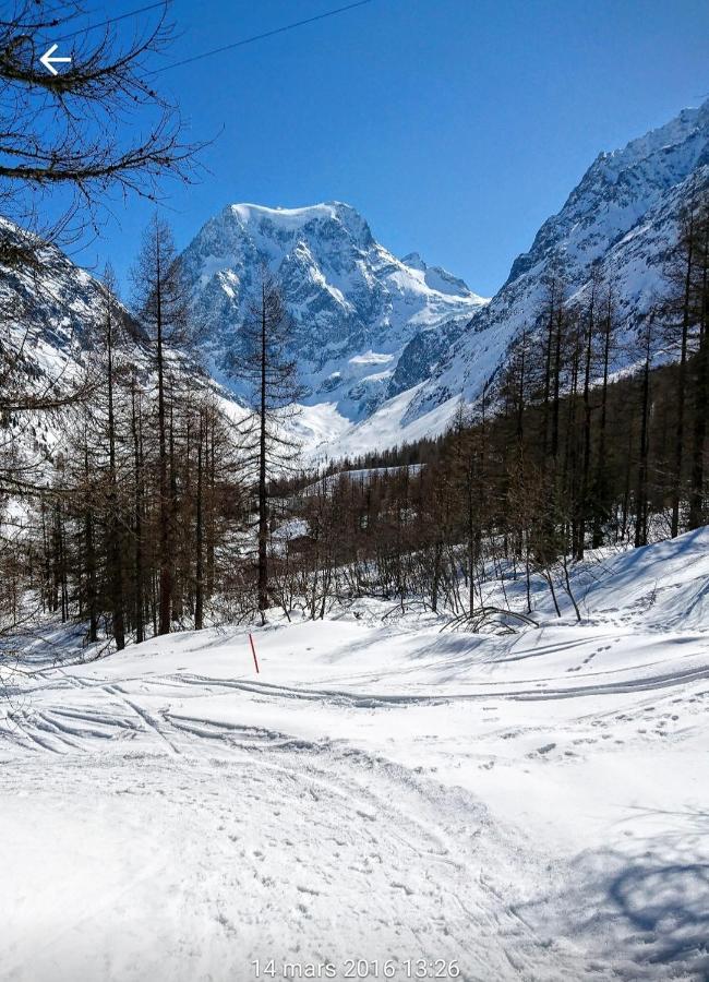 Le Panorama - Appartement 54 A Arolla Face Aux Montagnes A 150M Des Pistes Evolène Exteriör bild
