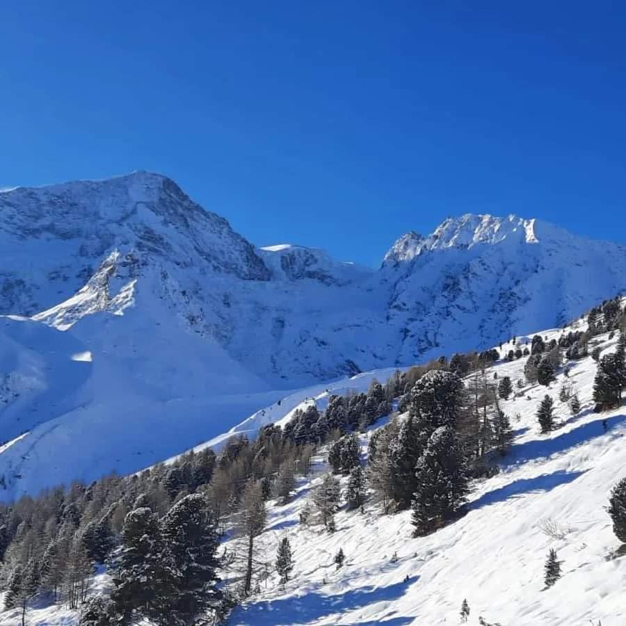 Le Panorama - Appartement 54 A Arolla Face Aux Montagnes A 150M Des Pistes Evolène Exteriör bild