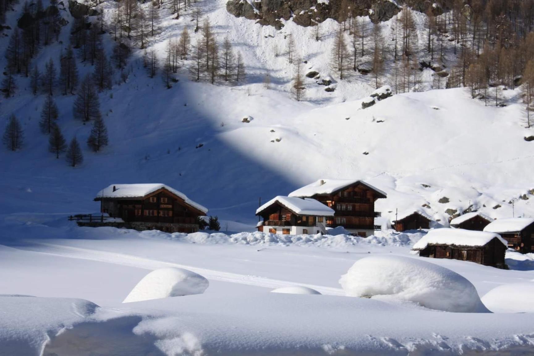 Le Panorama - Appartement 54 A Arolla Face Aux Montagnes A 150M Des Pistes Evolène Exteriör bild
