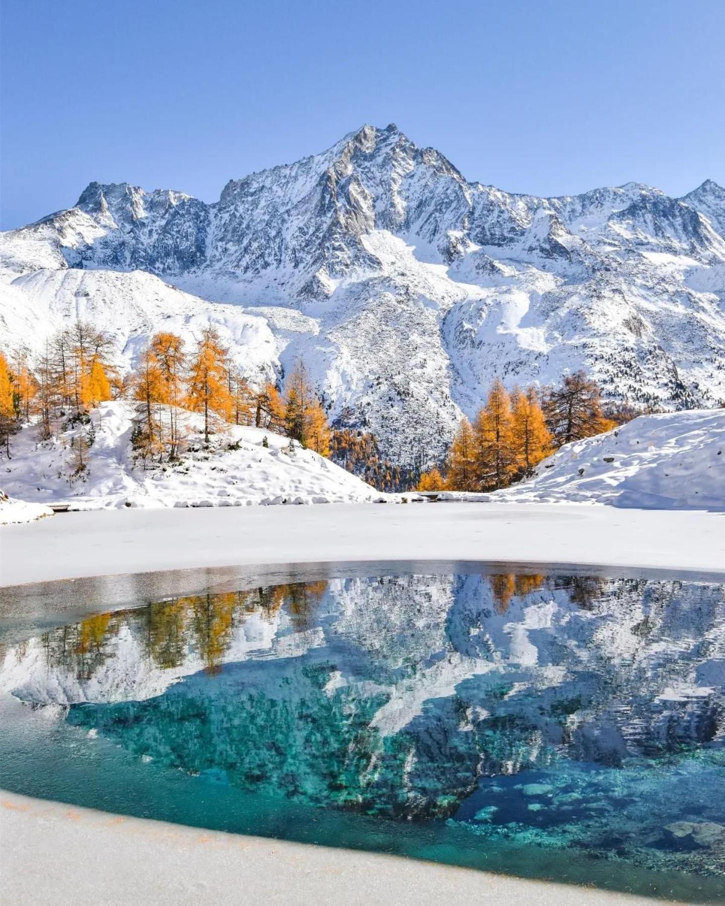 Le Panorama - Appartement 54 A Arolla Face Aux Montagnes A 150M Des Pistes Evolène Exteriör bild